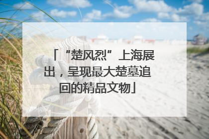 “楚风烈”上海展出，呈现最大楚墓追回的精品文物