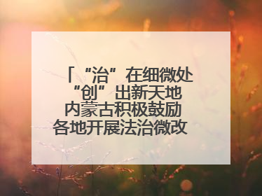 “治”在细微处 “创”出新天地 内蒙古积极鼓励各地开展法治微改革 小创新