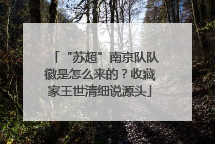 “苏超”南京队队徽是怎么来的？收藏家王世清细说源头