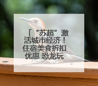 “苏超”激活城市经济！住宿美食折扣优惠 恐龙玩偶热销