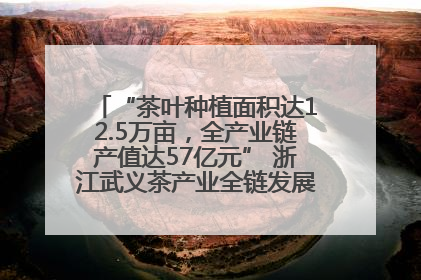 “茶叶种植面积达12.5万亩，全产业链产值达57亿元” 浙江武义茶产业全链发展“加速度”