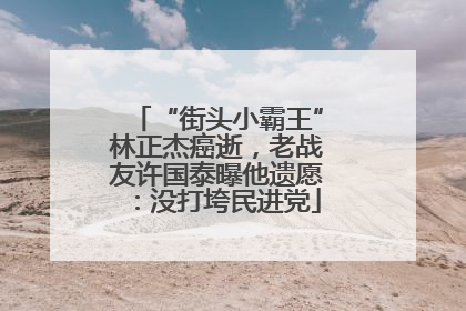 “街头小霸王”林正杰癌逝，老战友许国泰曝他遗愿：没打垮民进党