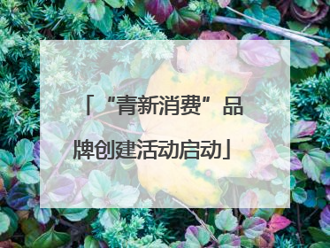 “青新消费”品牌创建活动启动