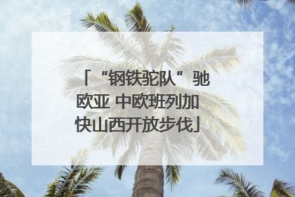 “钢铁驼队”驰欧亚 中欧班列加快山西开放步伐