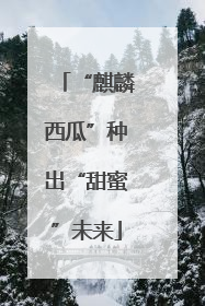 “麒麟西瓜”种出“甜蜜”未来