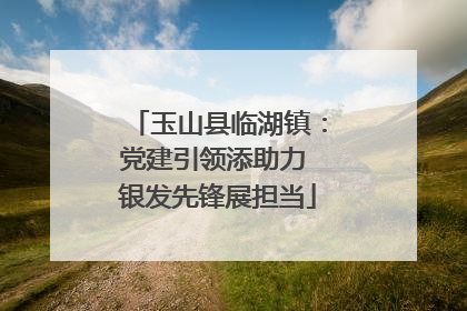 玉山县临湖镇：党建引领添助力 银发先锋展担当