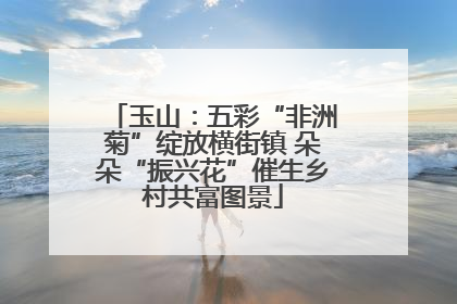 玉山：五彩“非洲菊”绽放横街镇 朵朵“振兴花”催生乡村共富图景