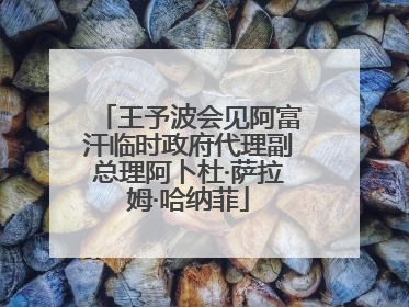王予波会见阿富汗临时政府代理副总理阿卜杜·萨拉姆·哈纳菲