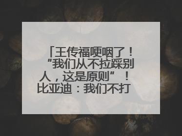 王传福哽咽了！“我们从不拉踩别人，这是原则”！比亚迪：我们不打价格战
