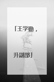 王学勤，升副部
