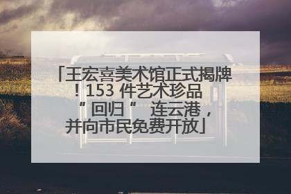 王宏喜美术馆正式揭牌！153 件艺术珍品 “ 回归 ” 连云港，并向市民免费开放