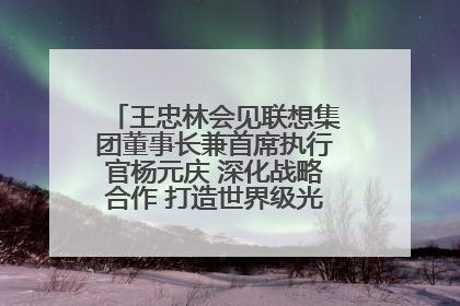王忠林会见联想集团董事长兼首席执行官杨元庆 深化战略合作 打造世界级光电子信息产业集群