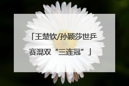 王楚钦/孙颖莎世乒赛混双“三连冠”