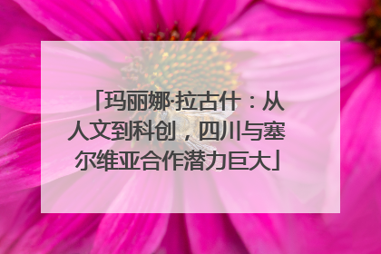 玛丽娜·拉古什：从人文到科创，四川与塞尔维亚合作潜力巨大