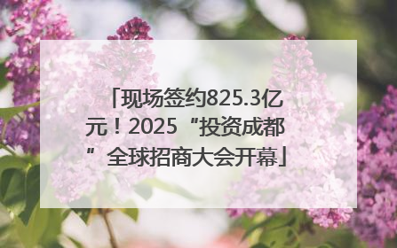 现场签约825.3亿元！2025“投资成都”全球招商大会开幕
