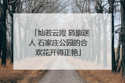 灿若云霞 旖旎迷人 石家庄公园的合欢花开得正艳