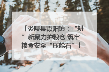 炎陵县霞阳镇：“耕”新聚力护粮仓 筑牢粮食安全“压舱石”
