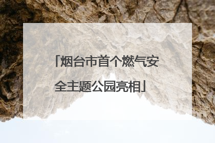 烟台市首个燃气安全主题公园亮相