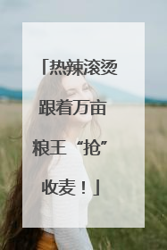 热辣滚烫 跟着万亩粮王“抢”收麦！