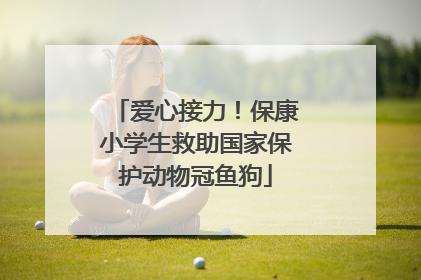 爱心接力！保康小学生救助国家保护动物冠鱼狗