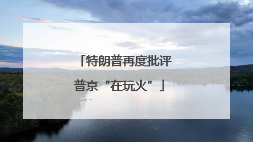特朗普再度批评普京“在玩火”