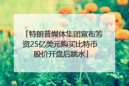 特朗普媒体集团宣布筹资25亿美元购买比特币 股价开盘后跳水
