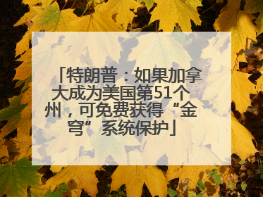 特朗普：如果加拿大成为美国第51个州，可免费获得“金穹”系统保护