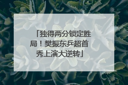独得两分锁定胜局！樊振东乒超首秀上演大逆转