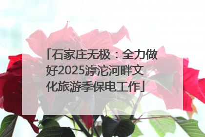 石家庄无极：全力做好2025滹沱河畔文化旅游季保电工作
