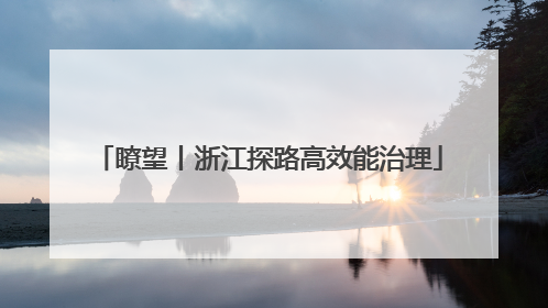 瞭望丨浙江探路高效能治理