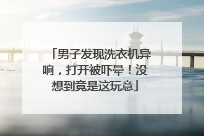 男子发现洗衣机异响，打开被吓晕！没想到竟是这玩意