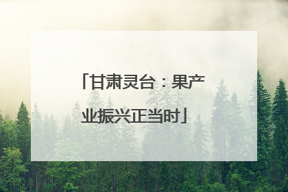 甘肃灵台：果产业振兴正当时