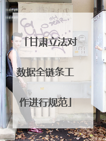 甘肃立法对数据全链条工作进行规范