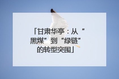 甘肃华亭：从“黑煤”到“绿链”的转型突围