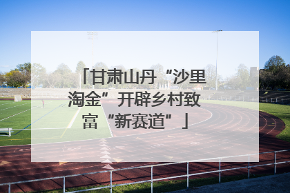 甘肃山丹“沙里淘金”开辟乡村致富“新赛道”