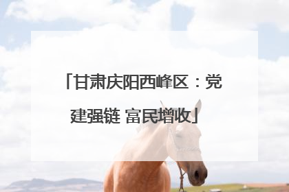 甘肃庆阳西峰区：党建强链 富民增收