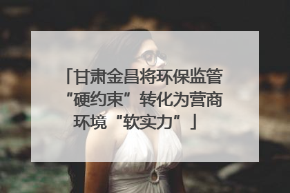 甘肃金昌将环保监管“硬约束”转化为营商环境“软实力”