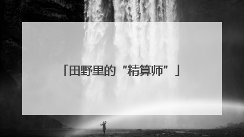田野里的“精算师”