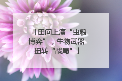 田间上演“虫粮博弈”，生物武器扭转“战局”