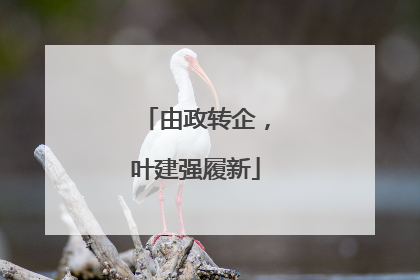 由政转企，叶建强履新