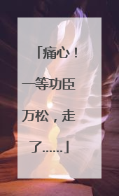 痛心！一等功臣万松，走了……