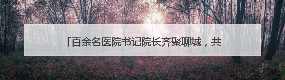 百余名医院书记院长齐聚聊城，共话母婴健康月子服务高质量发展