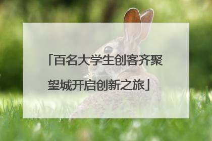 百名大学生创客齐聚望城开启创新之旅