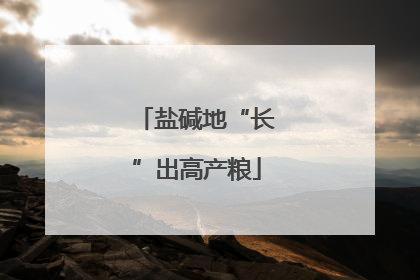 盐碱地“长”出高产粮