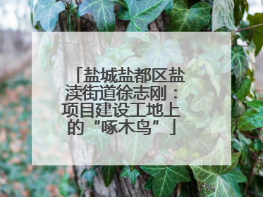 盐城盐都区盐渎街道徐志刚：项目建设工地上的“啄木鸟”