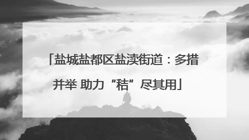盐城盐都区盐渎街道：多措并举 助力“秸”尽其用