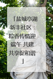 盐城亭湖新丰社区：粽香传情迎端午 共建共享促和谐