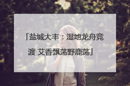 盐城大丰：湿地龙舟竞渡 艾香飘荡野鹿荡