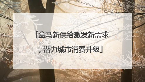 盒马新供给激发新需求，潜力城市消费升级