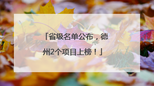 省级名单公布，德州2个项目上榜！
